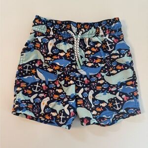 Cat and Jack Swim Trunks with Ocean Print